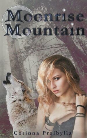 Moonrise Mountain | Bundesamt für magische Wesen